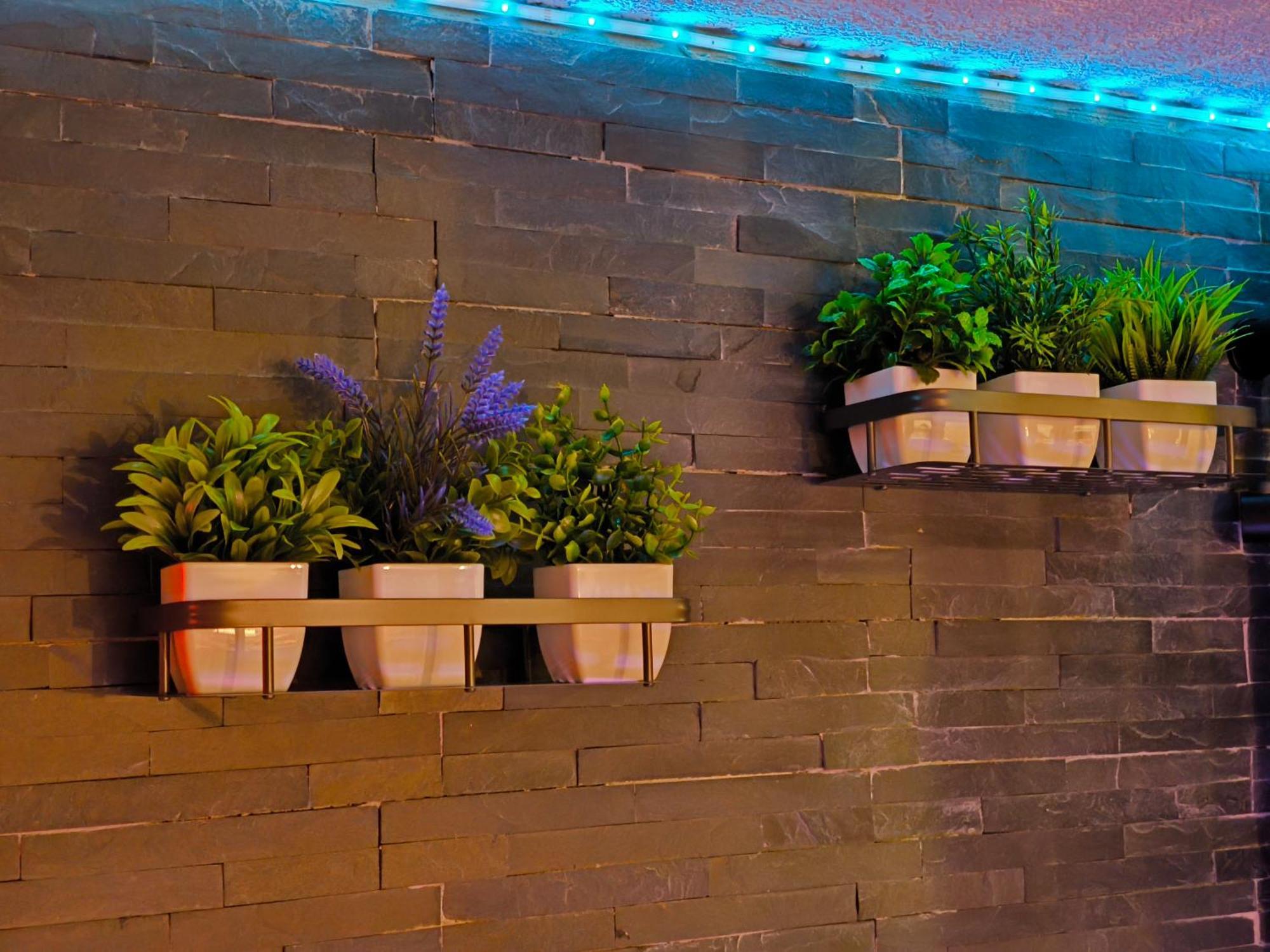 Love-Room Discret 40 M2 Bormes Les Mimosas Village Avec Terrasse Dış mekan fotoğraf